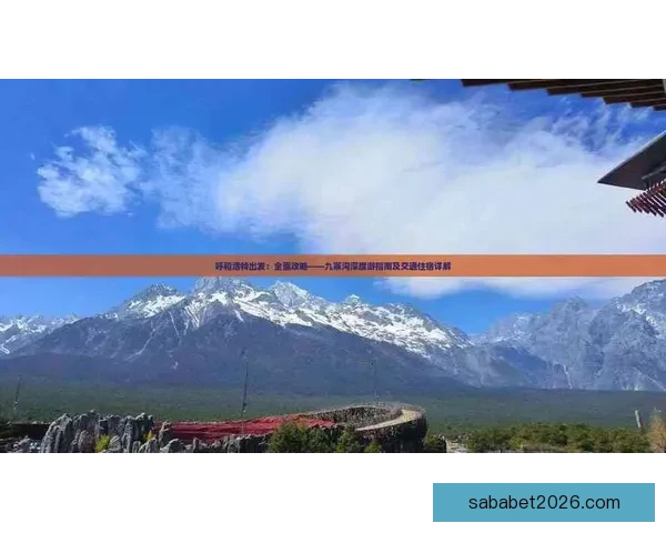 开云体育最新下载方式详解及功能优势全面指南
